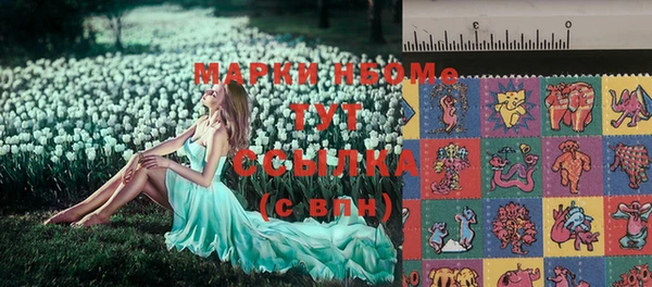 соль ск Вяземский